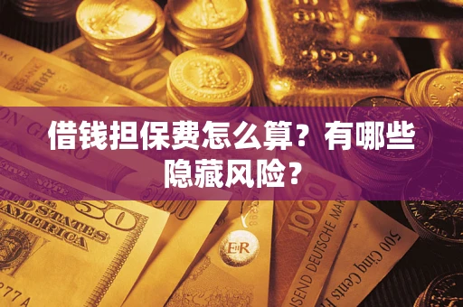 武汉借钱担保费怎么算？有哪些隐藏风险？