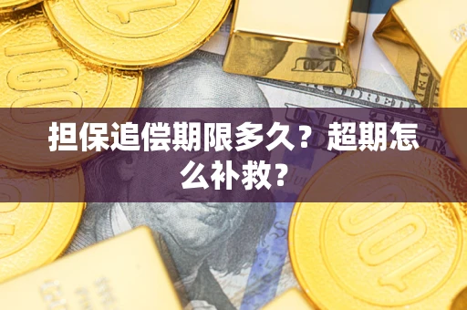 武汉担保追偿期限多久？超期怎么补救？