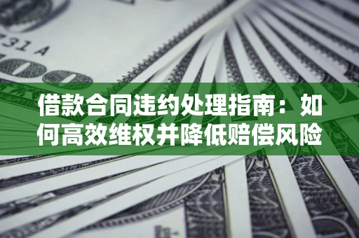 武汉借款合同违约处理指南：如何高效维权并降低赔偿风险？