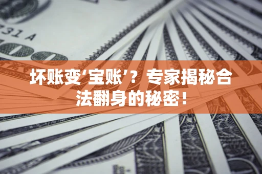 武汉坏账变‘宝账’？专家揭秘合法翻身的秘密！