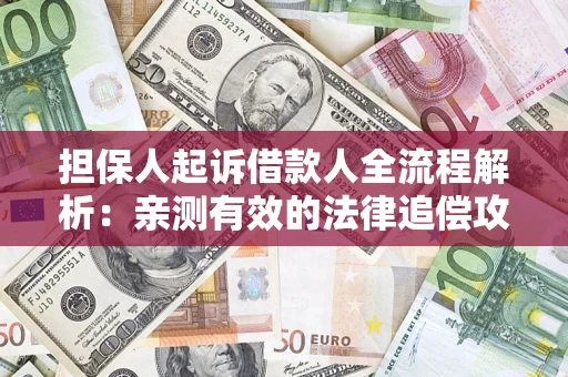 武汉担保人起诉借款人全流程解析：亲测有效的法律追偿攻略
