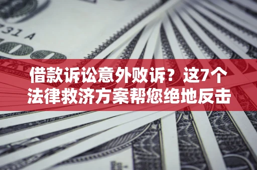 武汉借款诉讼意外败诉？这7个法律救济方案帮您绝地反击！
