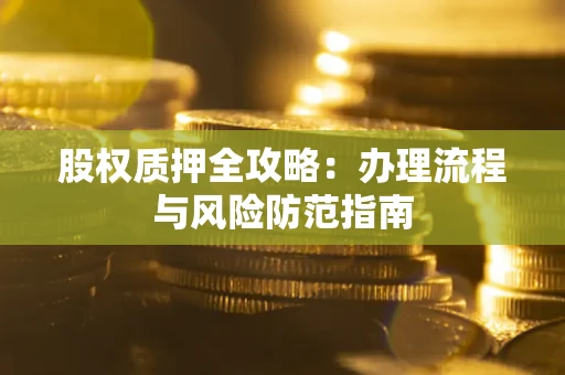 武汉股权质押全攻略：办理流程与风险防范指南