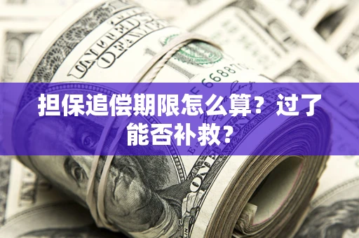 武汉担保追偿期限怎么算？过了能否补救？